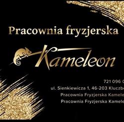 Pracownia Fryzjerska Kameleon