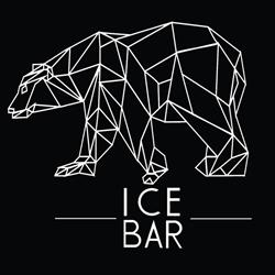 Ice Bar Poznan
