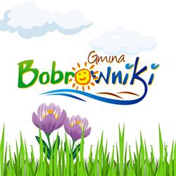 Gmina Bobrowniki