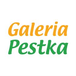 Salon NC+ Galeria Pestka
