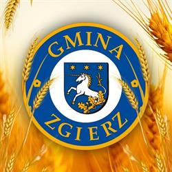 Gmina Zgierz