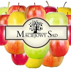 Gospodarstwo Ogrodnicze Maciejowy Sad Maciej Karczewski
