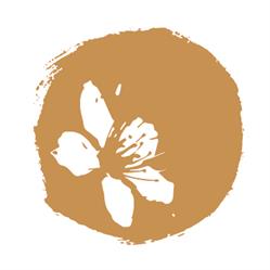 Sakura Gaca Anna Gabinet Kosmetyczno Podologiczny