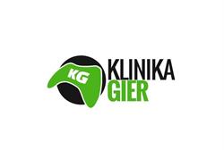 Klinika gier