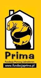 Fundacja Pomocy Labradorom PRIMA