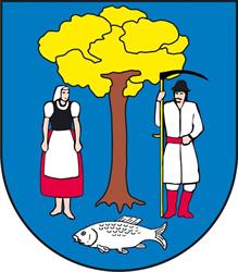 Gmina Chybie
