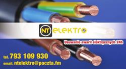 NTelektro