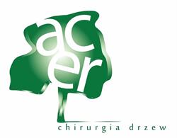 Tomasz Chandze - Acer Chirurgia Drzew