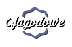Plantacja borówki amerykańskiej