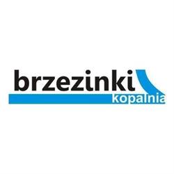 Brzezinki 1. J. Piórko