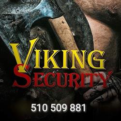 Viking Security