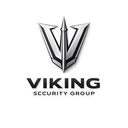 Viking Security