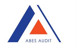 ABES AUDIT SP Z O O