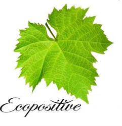 AGNIESZKA OKARMA ECOPOSITIVE GABINETY KOSMETYKI EKOLOGICZNEJ