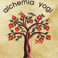 ALCHEMIA SP Z O O