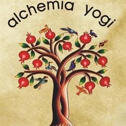 ALCHEMIA SP Z O O