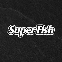 ALFA SUPERFISH GK SP Z O O SPÓŁKA KOMANDYTOWO AKCYJNA