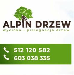ALPIN DRZEW MARIUSZ SOBIESKI