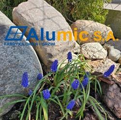 ALUMIC S A