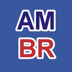 AM BR SP Z O O