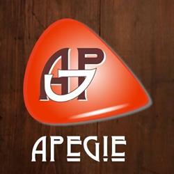 APEGIE SP Z O O