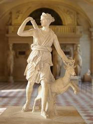 ARTEMIS SP Z O O