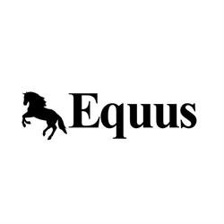 ARTUR SZMIGIELSKI WSPÓLNIK SPÓŁKI CYWILNEJ EQUUS