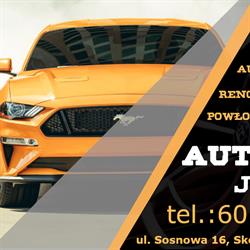 AUTO DENT JANEX JANUSZ NOWAKOWSKI