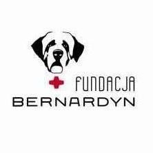 BERNARDYN FUNDACJA ZWIERZĄT SKRZYWDZONYCH