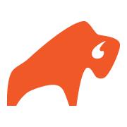 BISON ENERGY SP Z O O