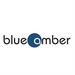 BLUEAMBER PLANTACJA BORÓWKI