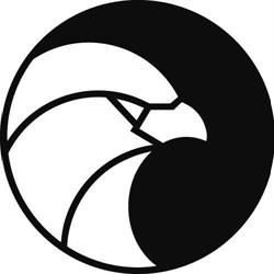 CAPITAL BROKERS INSURANCE GROUP SP Z O O