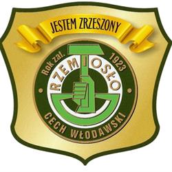 CECH RZEMIOSŁ I PRZEDSIĘBIORCZOŚCI