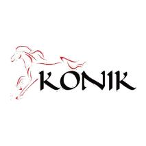 Centrum Językowe Konik Praca Dla Opiekunek