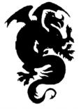 CENTRUM PROMOCJI SPORTU I REKREACJI DRAGON