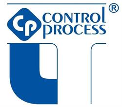 CONTROL PROCESS IT SP Z O O