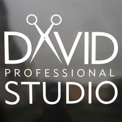 DAVID PROFESSIONAL STUDIO DAWID KRYGER