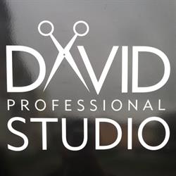 DAVID PROFESSIONAL STUDIO DAWID KRYGER