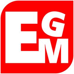 E-GM Usługi Informatyczne Paweł Nowicki