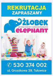 ELEPHANT OPIEKA DZIECIĘCA GRZEGORZ OLEKSY