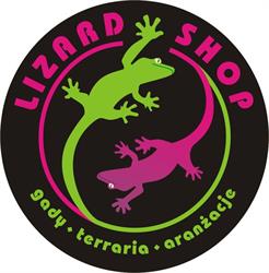 EWA SKOWRONEK LIZARD SHOP