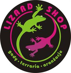 EWA SKOWRONEK LIZARD SHOP