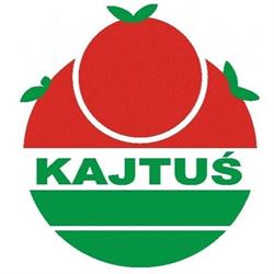 KAJTUŚ