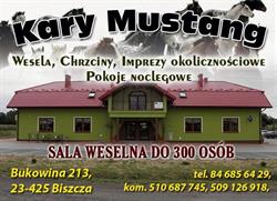 KARY MUSTANG AGROTURYSTYKA WIEJSKA