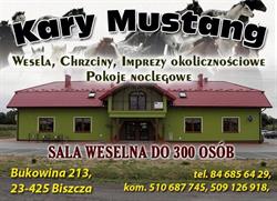 KARY MUSTANG AGROTURYSTYKA WIEJSKA