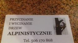 KAZIMIERZ RYTCZAK WYCINANIE DRZEW
