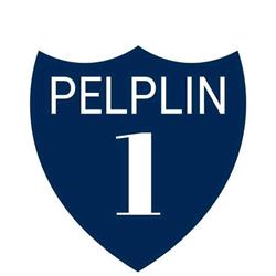 KLUB SPORTOWY JEDYNKA PELPLIN