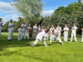 pokaz capoeira