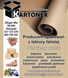 KARTONEX
