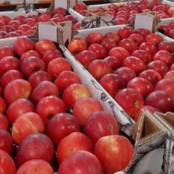 GOOD FRUIT